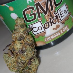 GMO Cookies Weed Strain