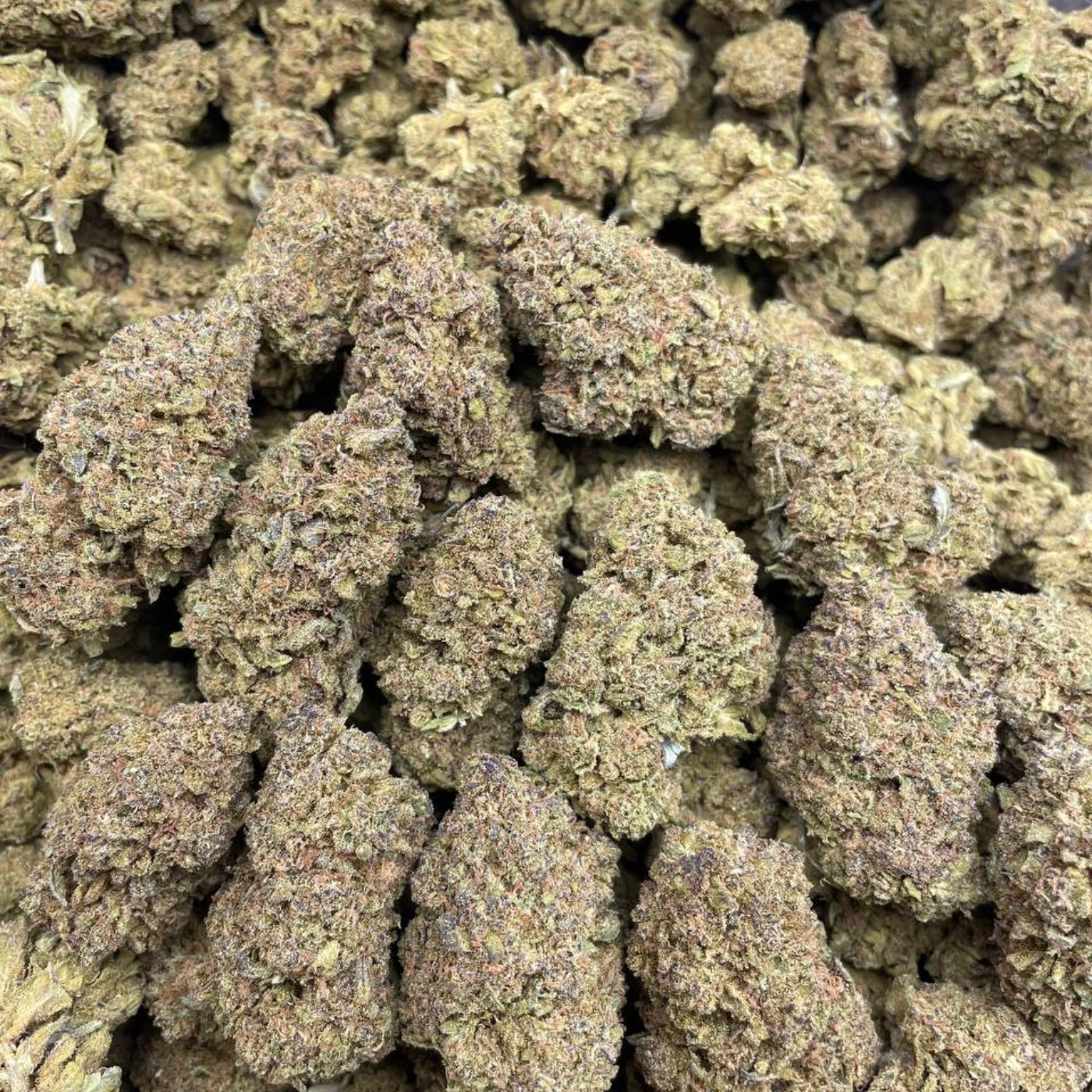 blueberry cruffin strain California dispensary that ship out of state