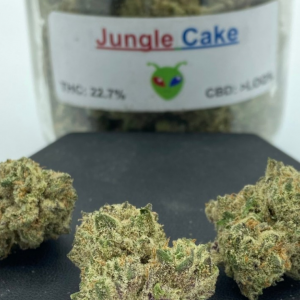 Jungle Cake Strain
