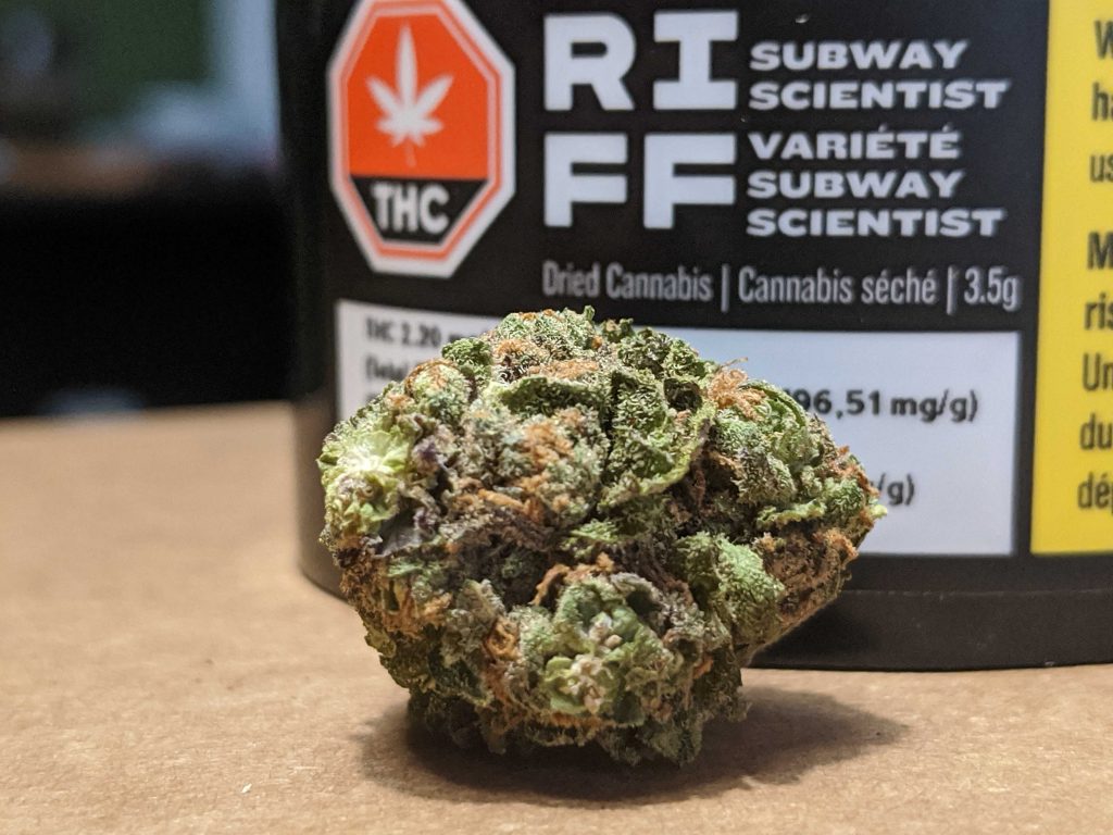 Lemon snickerdoodles strain