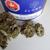 tuna kush strain