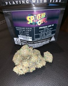space age cake strain