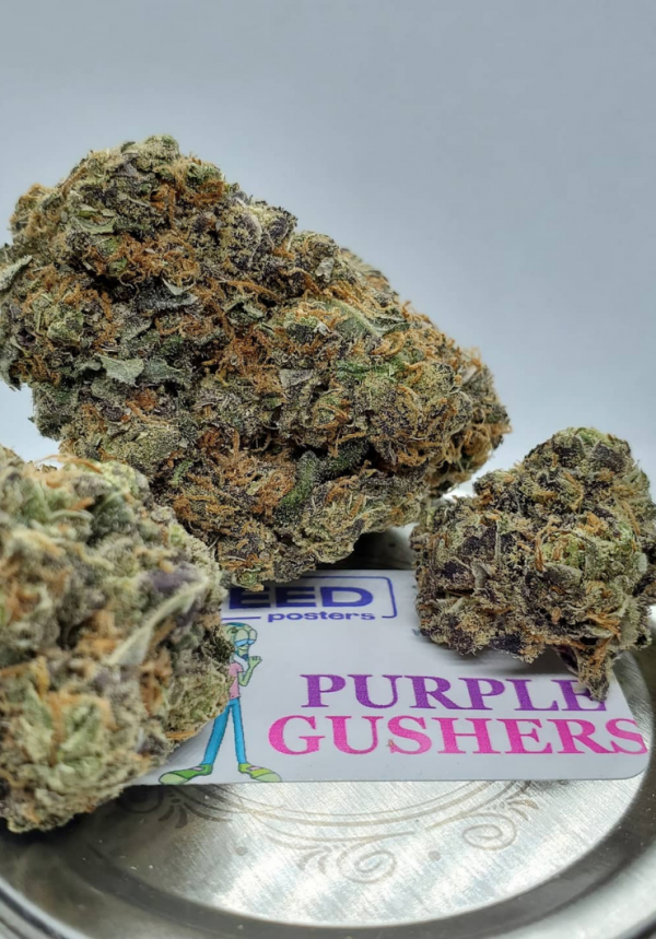 white gushers, gushers sativa cartridge, white gushers strain