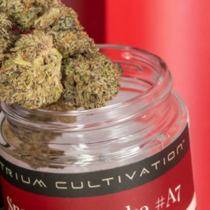 Space Age Cake Strain