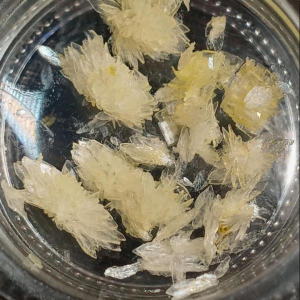 crystal dmt