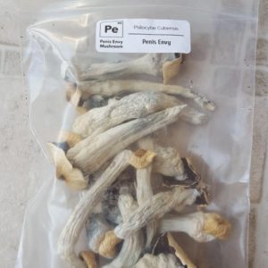 Penis Envy Magic Mushrooms