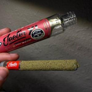 jungle cookies strain, baby jeeter pre rolls