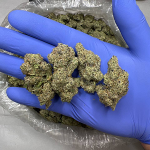 Donkey Butter Strain