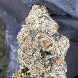 Rainbow Belts Strain