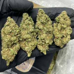 Horchata Strain THC Level