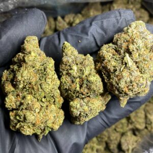 medellin strain, medellin weed strain,