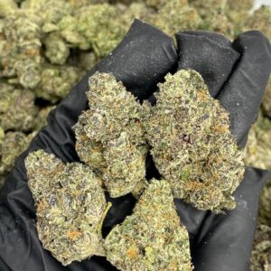 blueberry slushie weed strain, blueberry slushy strain, blueberry slushi strain