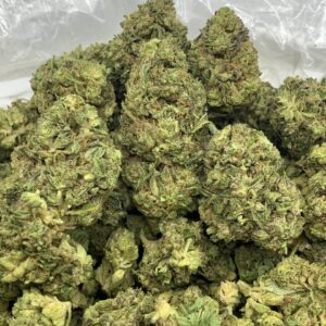 Triangle Mints Strain