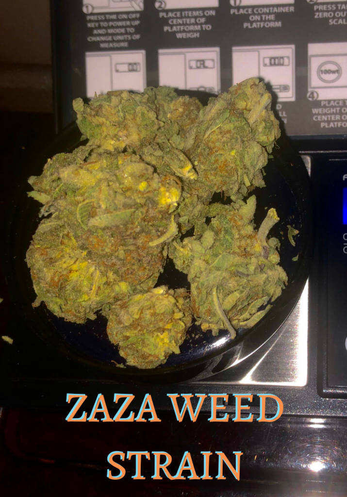 za weed strain, zaza marijuana